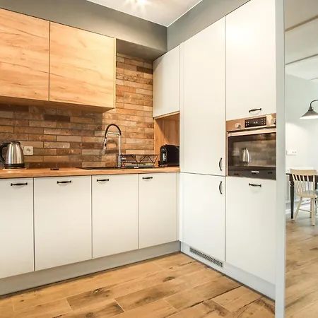 公寓 Szpitalna 9 克拉科夫