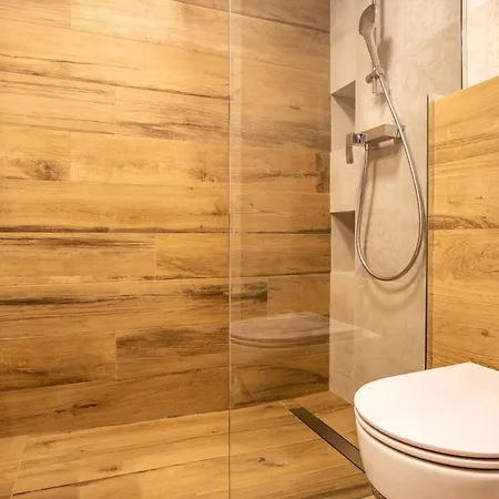 公寓 Szpitalna 9 克拉科夫