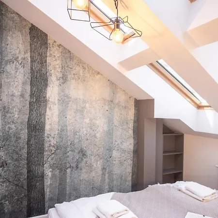 Szpitalna 9 Apartment Krakow
