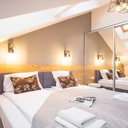 公寓 Szpitalna 9 克拉科夫